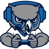 OW ESports (@odubesports) 's Twitter Profile Photo OW ESports (@odubesports) 's Twitter Profile Photo