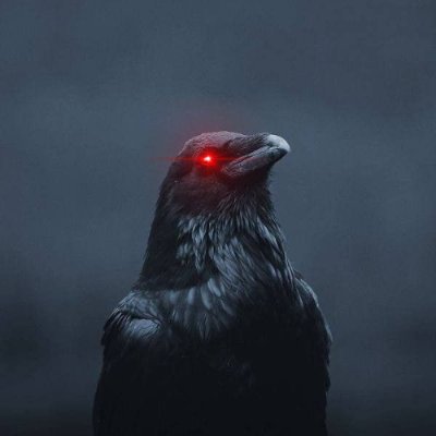 Krowさんのプロフィール画像