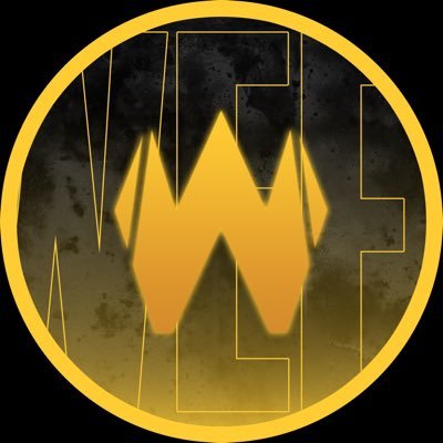 Wefra Profile