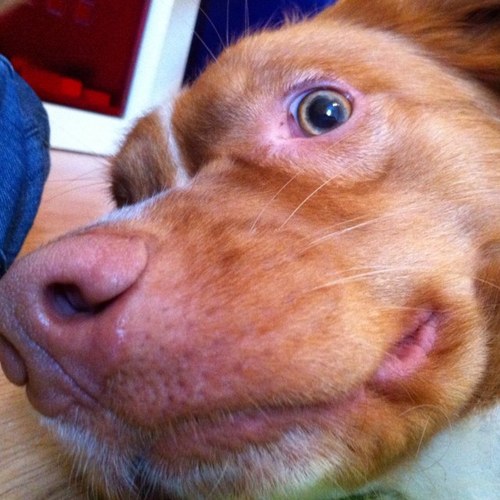 thomasedman's profile picture. Datornörd, pappa, amatörfotograf, vinpimplare, löparintresserad och skåning