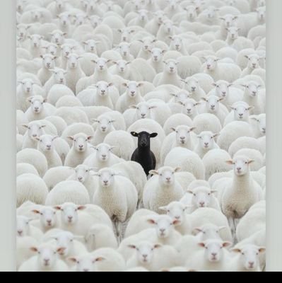 Web3 Blockchain Security Researcher|| Ghost Writer l| Merchants || digital Marketing strategy || Content creator