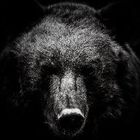 JTS (@jts_trader) 's Twitter Profile