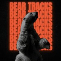 Bear Tracks (@beartrackshq) 's Twitter Profile Photo Bear Tracks (@beartrackshq) 's Twitter Profile Photo