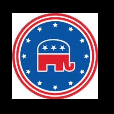 #christian #conservative #2A #prolife #gop #trump2024 #constitution