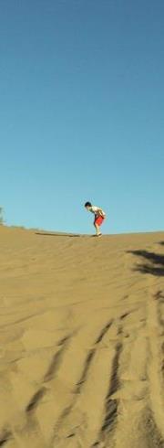 alanmrich's profile picture. 