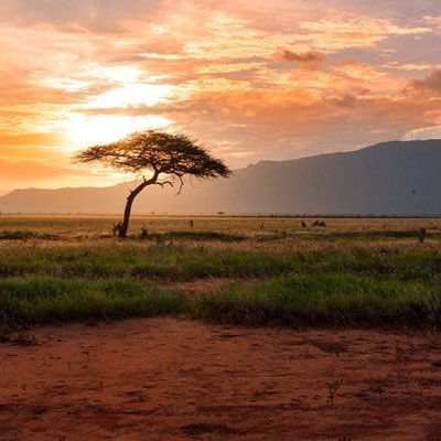 fadera39875's profile picture. Always be grateful 🥹 for what God created you