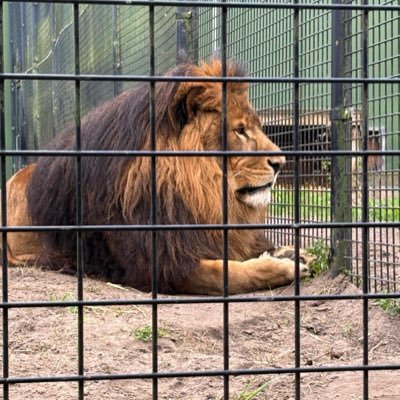 Akalinn88's profile picture. 