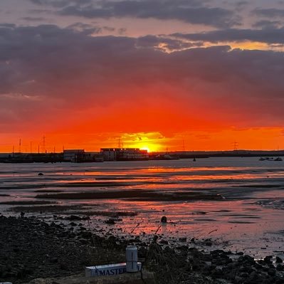 TensorialRelic0's profile picture. 