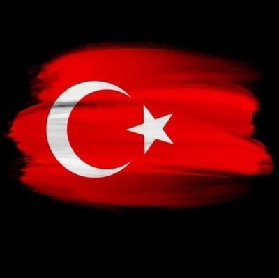 TURrealism1923's profile picture. Be the pioneer to be enlightened...
Learn the real facts from Turkish history and forget the biases...