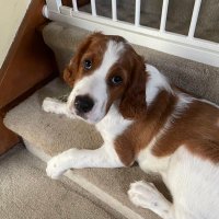 I’M FINE 🏴🇬🇧😸🐶💚🤍💜 (@lynette55) 's Twitter Profile Photo I’M FINE 🏴🇬🇧😸🐶💚🤍💜 (@lynette55) 's Twitter Profile Photo