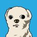 Scrappy (@scrappyxrp_) Twitter profile photo Scrappy (@scrappyxrp_) Twitter profile photo