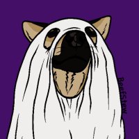 Stew (@imbeefstew) 's Twitter Profile