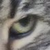 jon (@rudkinrovers) Twitter profile photo jon (@rudkinrovers) Twitter profile photo