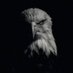 eagle_bjk_wolf (@emporiyasin) Twitter profile photo eagle_bjk_wolf (@emporiyasin) Twitter profile photo