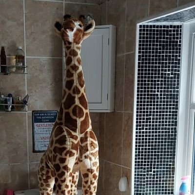 Mewhyyhello's profile picture. I'm 4ft8 and happy! Follow for a follow, yup I'm that kinda profile