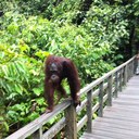 Anthony Squires - @squirezz - Twitter