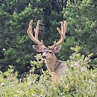 TJ (@teejay19986) Twitter profile photo