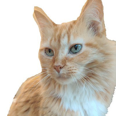 parknichdb's profile picture. she/her
alt acc
main: @parknich081
I post insanities and below here
Capture Card: EVGA XR1
I play on a modded switch