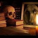 Shauna Klein - @ShaunaKlein1 - Twitter