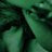 LilJreemer's profile image