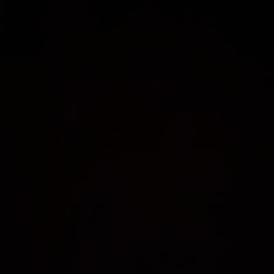 dino137258's profile picture. 