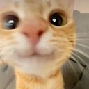 Ava Whitley - @AvaWhitley24861 - Twitter