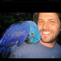 michael peter reitz (@michaelpreitz) 's Twitter Profile