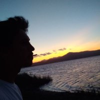Jão 🇧🇷🇮🇱🇺🇦 (@sohmaisumjao) 's Twitter Profile