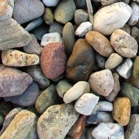 DieBlondeFrau 🪢⚓🐾🐾 (@lamadamedomme) Twitter profile photo