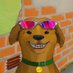 out of context brazil ๐ง๐ท (@oocbrazill) Twitter profile photo out of context brazil ๐ง๐ท (@oocbrazill) Twitter profile photo