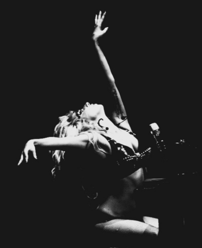 i follow back! #monsterfollowback paws up!