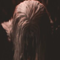 πππ ππππ πππ (@necr0phade) 's Twitter Profile