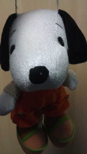 stevenyi