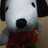 stevenfyi's profile image