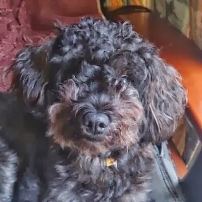 HdBTHrALrc35702's profile picture. 