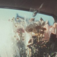 portra (@miku_r3v) 's Twitter Profile