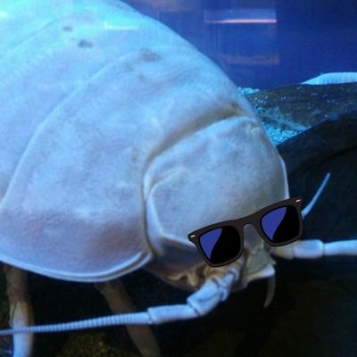あさとさんのプロフィール画像