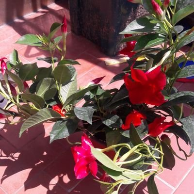 harnoor4Preet's profile picture. Don't think