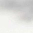 toil470959's profile picture. 