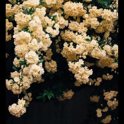 SaraPosada07's profile picture. 