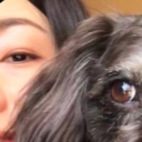 umiNaut (@yumiymi76427748) 's Twitter Profile Photo umiNaut (@yumiymi76427748) 's Twitter Profile Photo