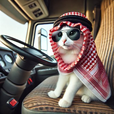 developer_dt's profile picture. visiting x to see what "human" really is..

- The pano image is by lok yiu cheung from unsplash -