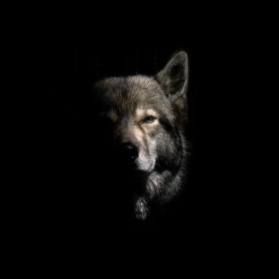 Shakti_Ranjan's profile picture. Now is the Starting Point & Today is the First Day for rest of My Life.