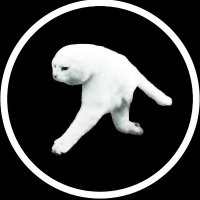 ペロやま (@ug_trip_) 's Twitter Profile