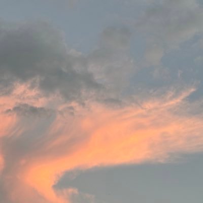 Sy1512_JB's profile picture. 