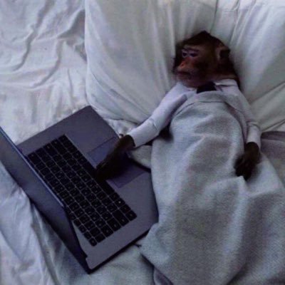 LoreCarrillo10's profile picture. 