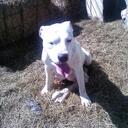 athena baldwin - @pinkblackheart - Twitter