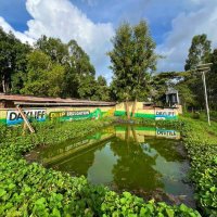 Wendy Farms - Ukulima Sio Ushamba (@wendyfarmsltd) 's Twitter Profile