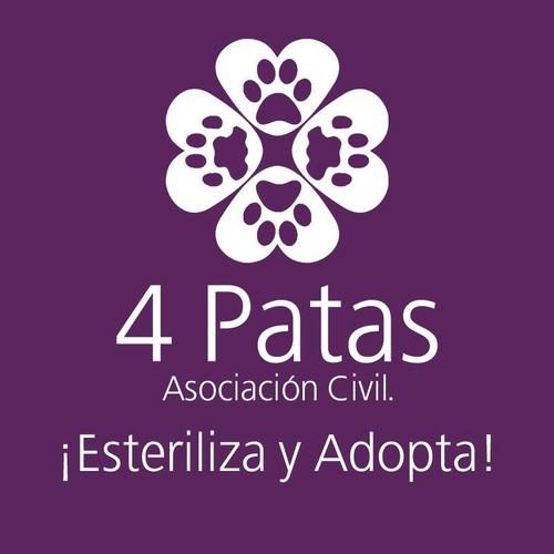 Grupo de ensenadenses que realiza voluntariamente una labor sin fines de lucro y en beneficio de los animales de compañía.