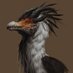 Mutated_Bird1 (@mutated_bird1) Twitter profile photo Mutated_Bird1 (@mutated_bird1) Twitter profile photo